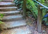 1000 steps Upper Ferntree Gully