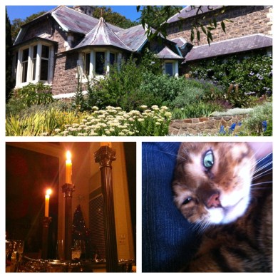 Montage of cottage, candles and cat