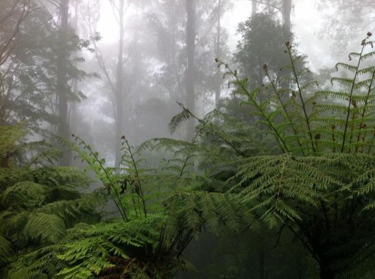 Beautiful bad weather