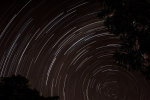 Photo by Sheridan Tighe